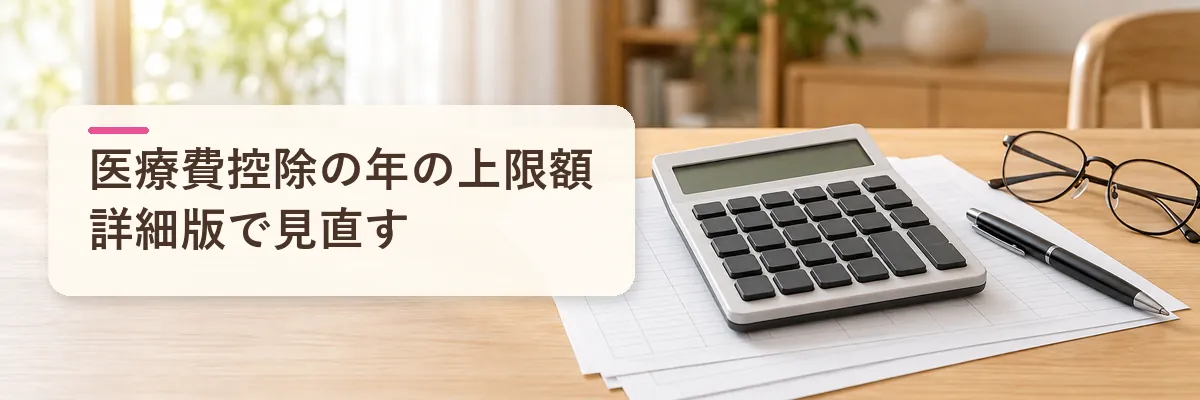 ふるさと納税 医療費控除の年の上限額｜詳細版シミュレーターで見直す