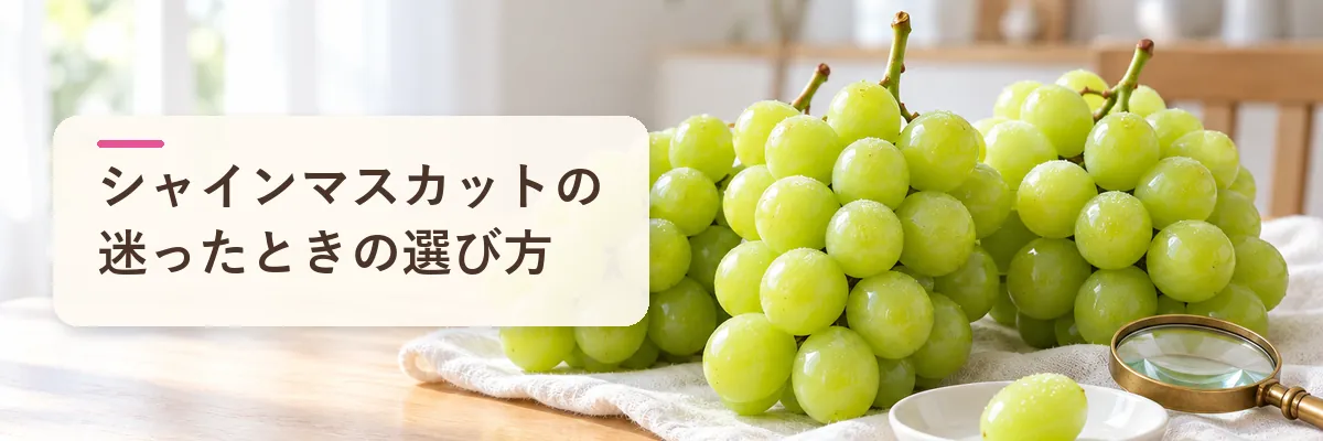 シャインマスカットの迷ったときの選び方
